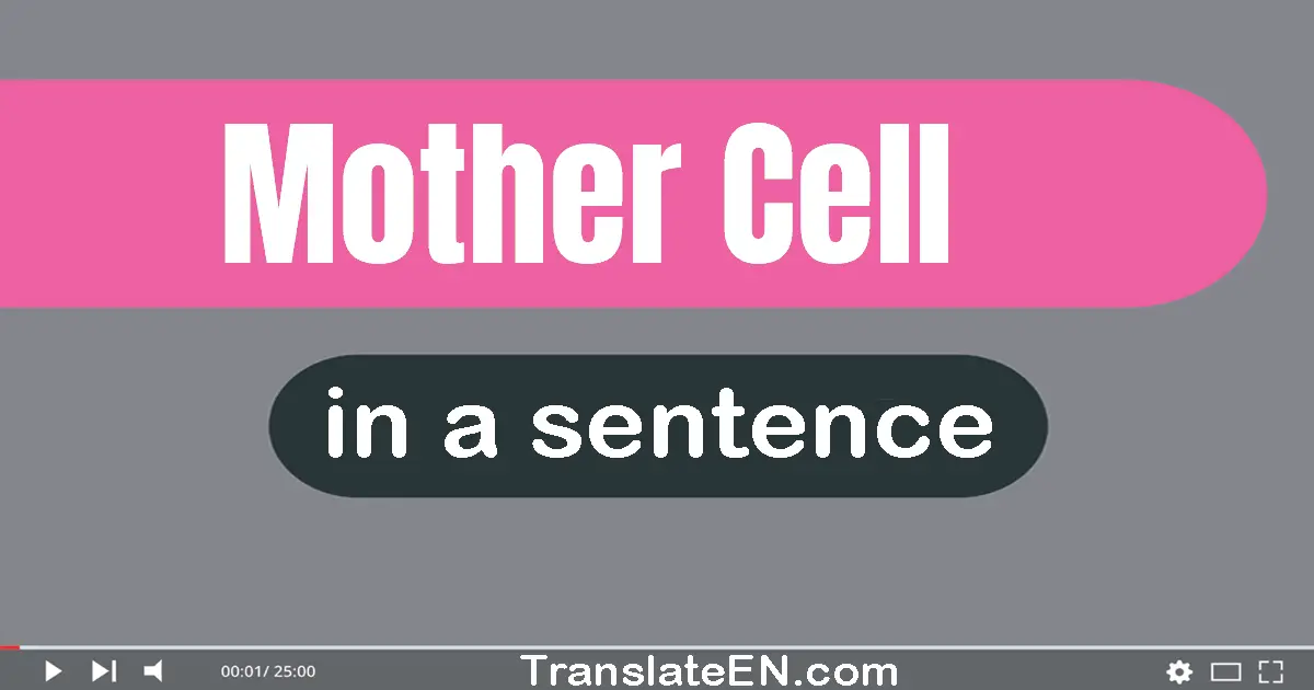 Use "mother cell" in a sentence | "mother cell" sentence examples