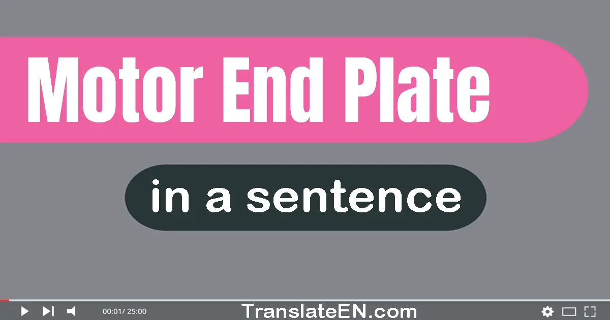 Motor End Plate in a sentence