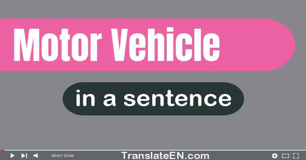 Motor Vehicle in a sentence