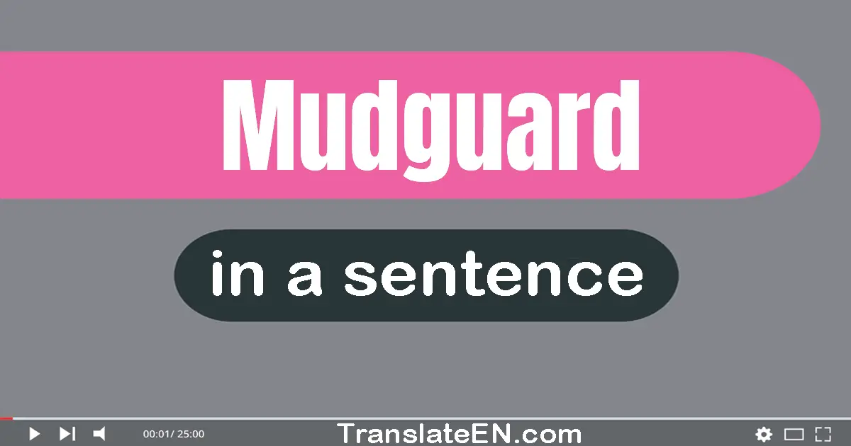 Use "mudguard" in a sentence | "mudguard" sentence examples