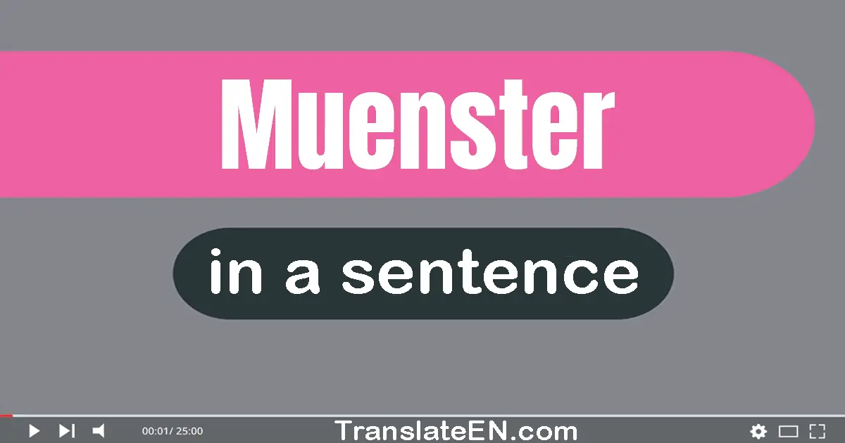 Use "muenster" in a sentence | "muenster" sentence examples