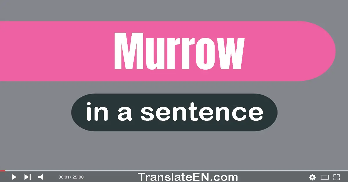 Murrow in a sentence