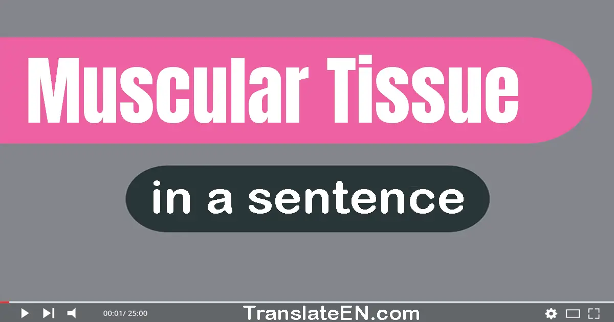 Muscular Tissue in a sentence