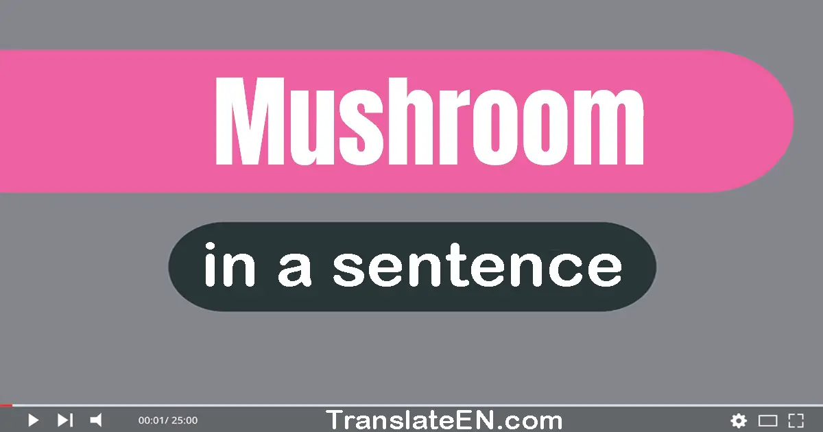 Mushroom in a sentence