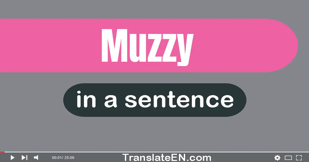 Muzzy in a sentence