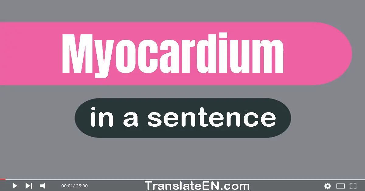 Myocardium in a sentence