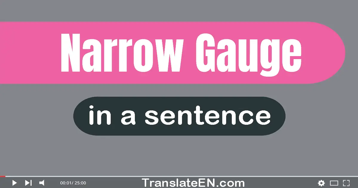 Narrow Gauge in a sentence