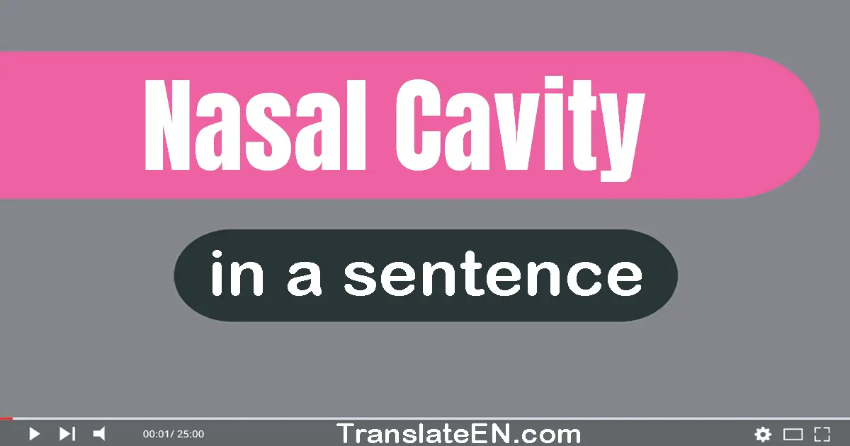 Nasal Cavity in a sentence