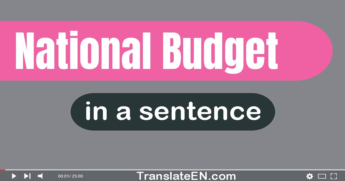 Use "national budget" in a sentence | "national budget" sentence examples