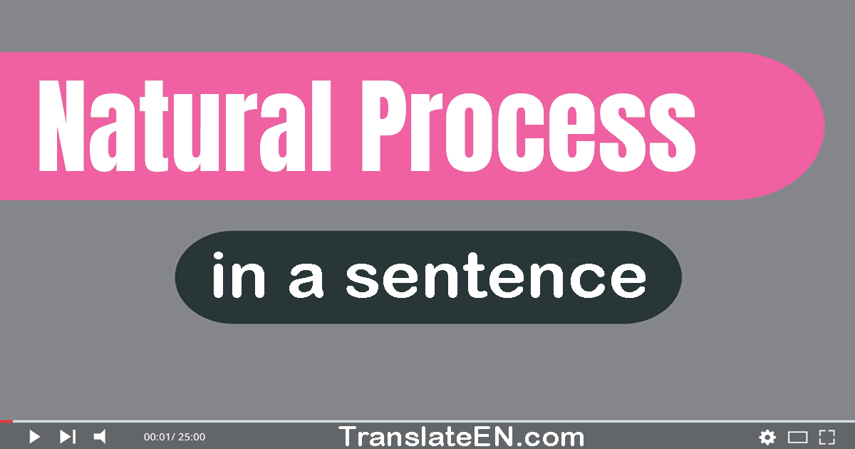 Use "natural process" in a sentence | "natural process" sentence examples