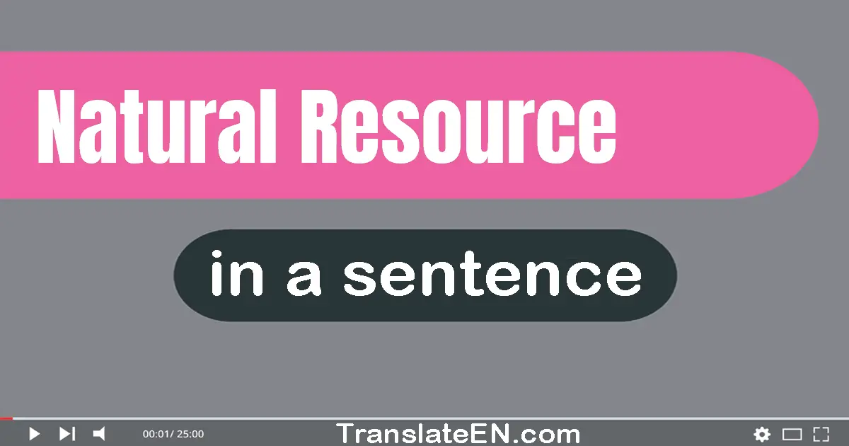 Use "natural resource" in a sentence | "natural resource" sentence examples
