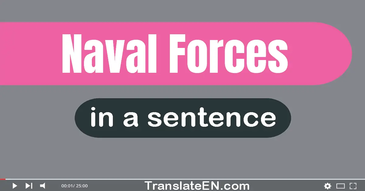 Use "naval forces" in a sentence | "naval forces" sentence examples