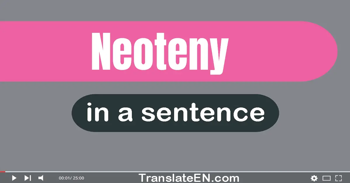 Use "neoteny" in a sentence | "neoteny" sentence examples