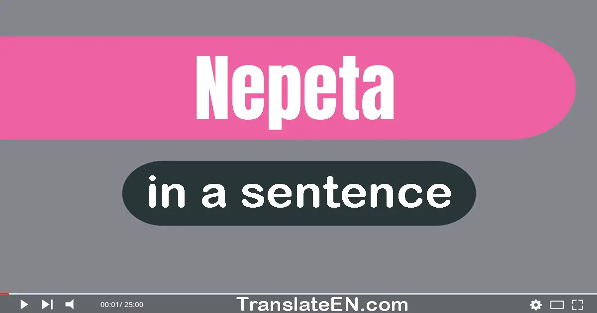 Use "nepeta" in a sentence | "nepeta" sentence examples