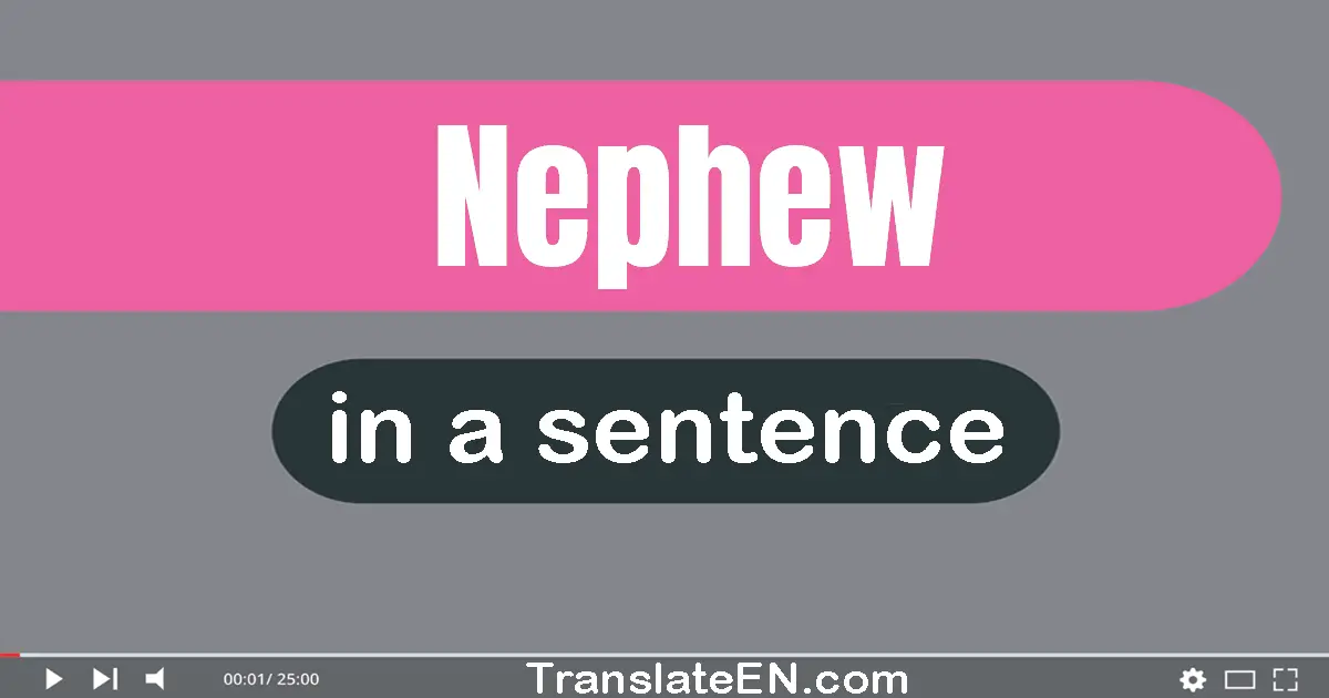 Use "nephew" in a sentence | "nephew" sentence examples