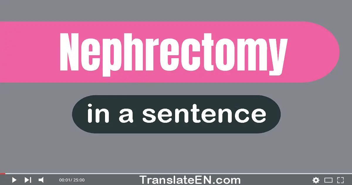 Use "nephrectomy" in a sentence | "nephrectomy" sentence examples