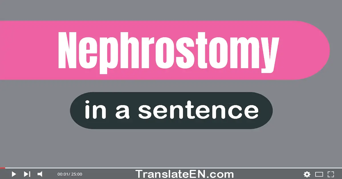 Use "nephrostomy" in a sentence | "nephrostomy" sentence examples