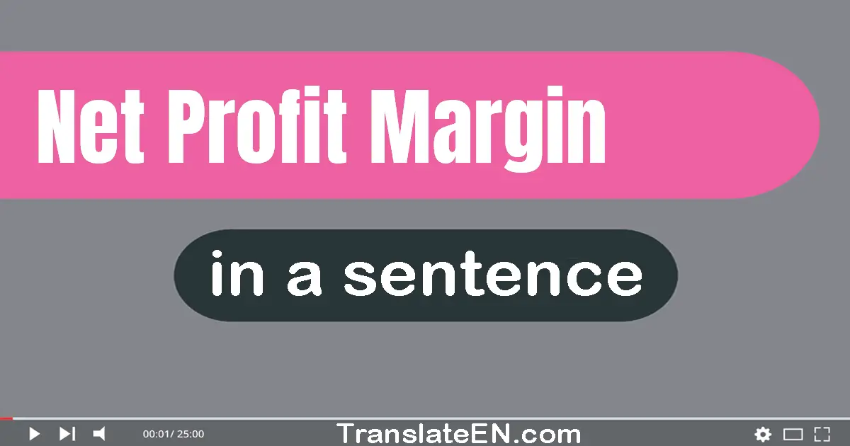 Net Profit Margin in a sentence