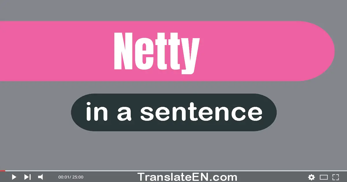 Netty in a sentence