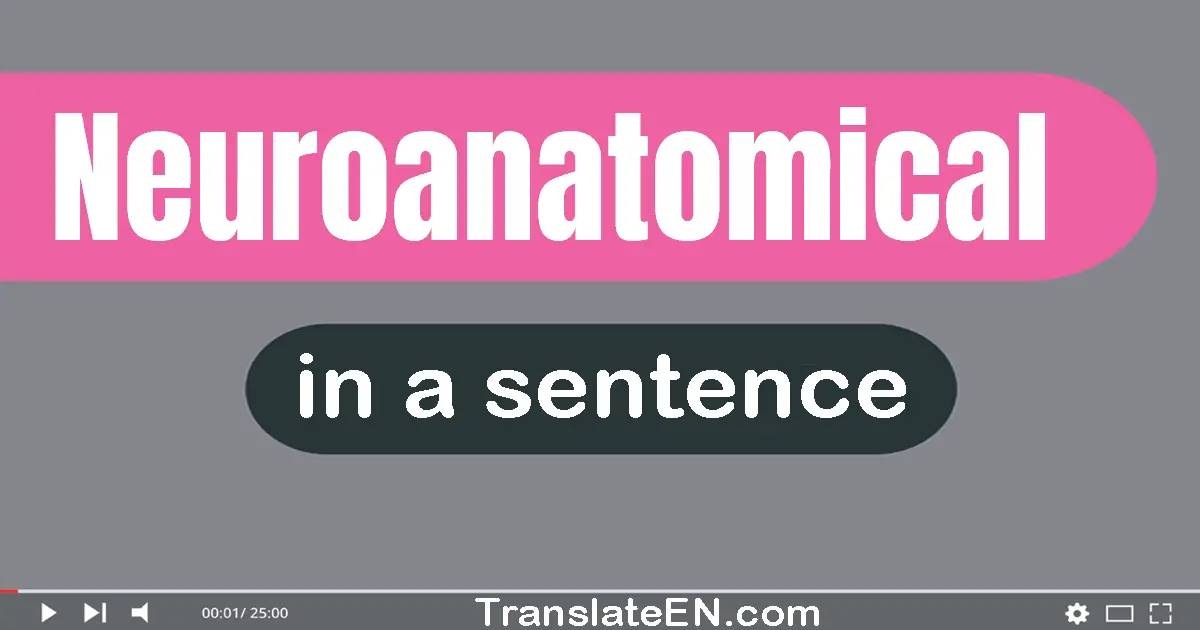 Neuroanatomical in a sentence