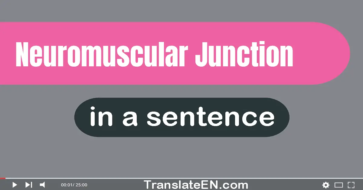 Neuromuscular Junction in a sentence