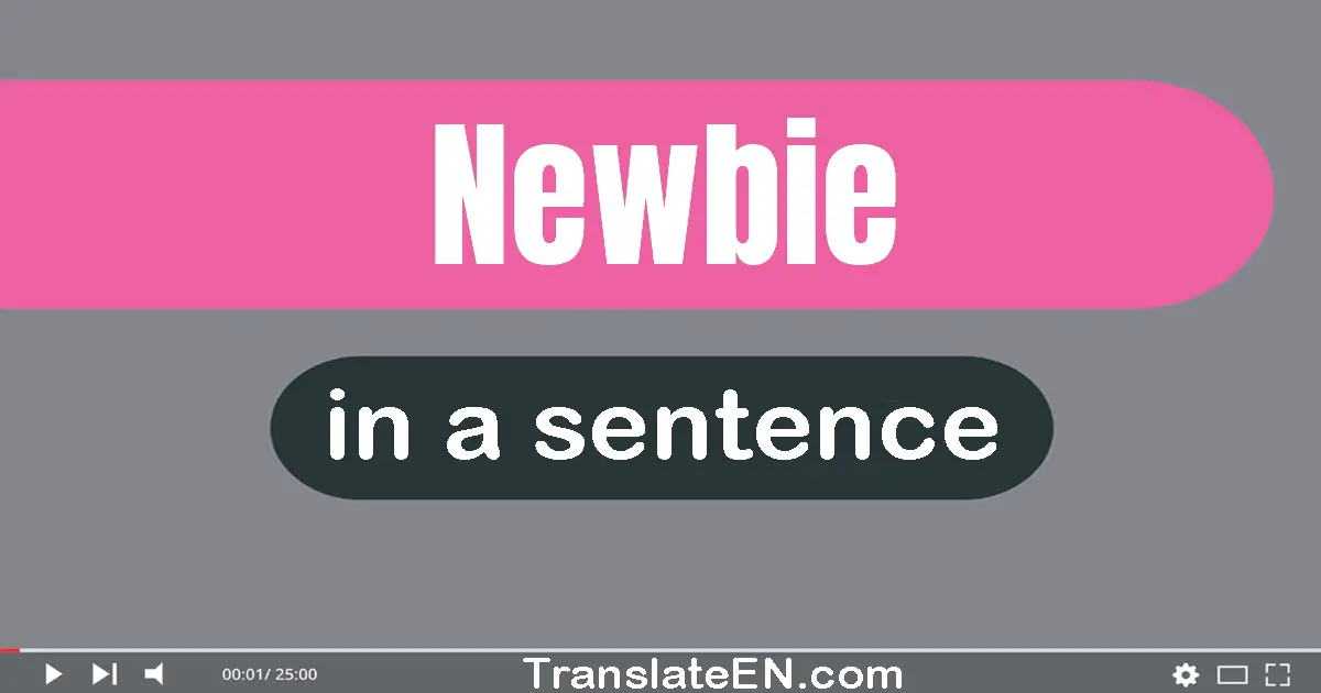 Newbie in a sentence