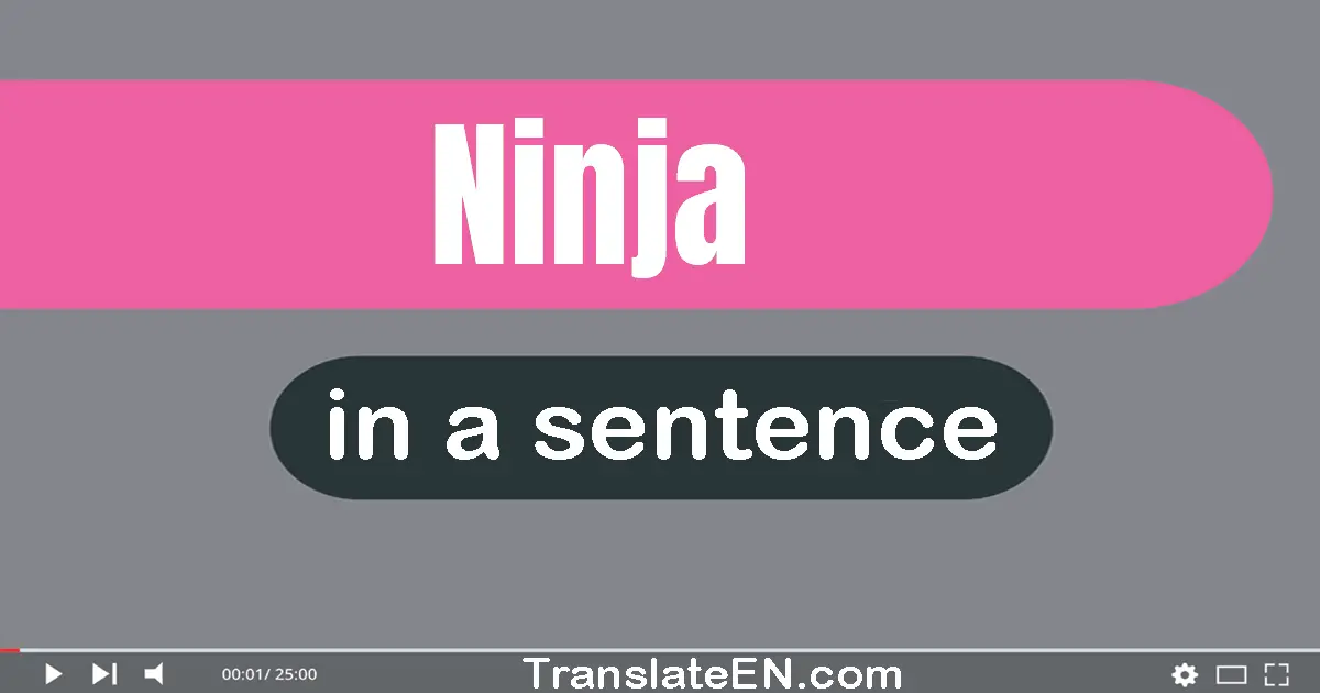 Ninja in a sentence