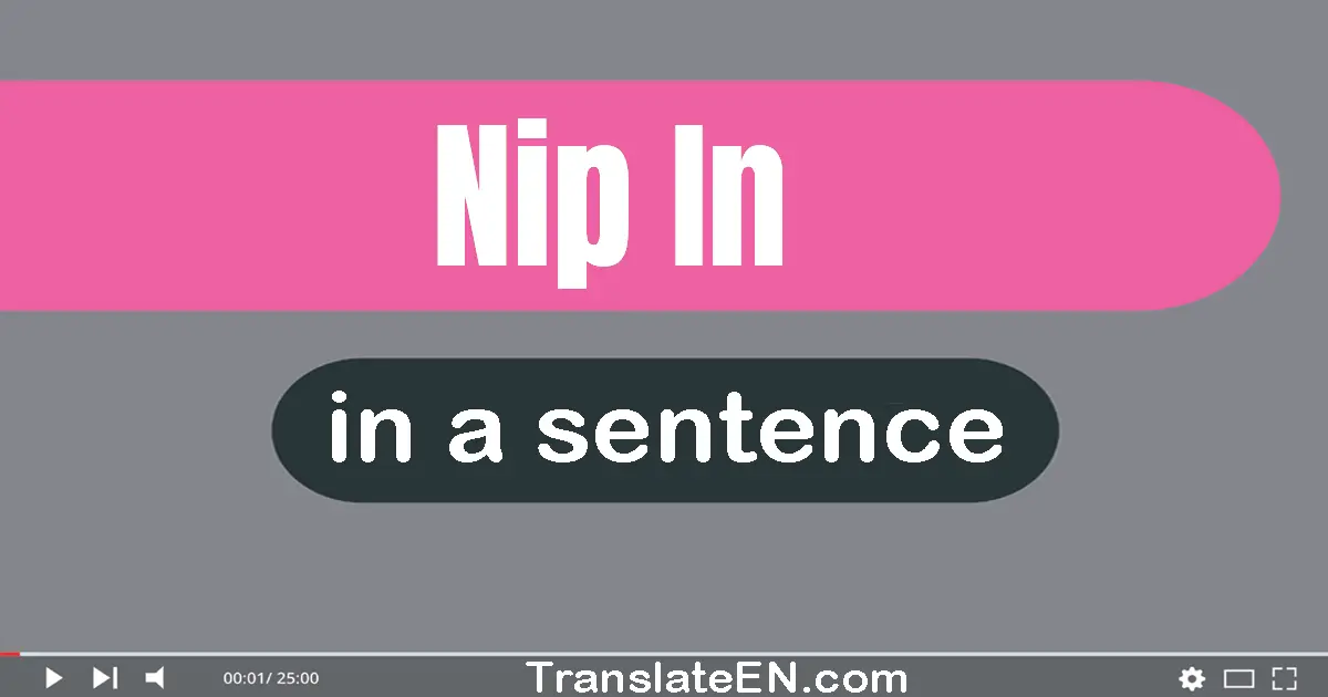 Nip In in a sentence