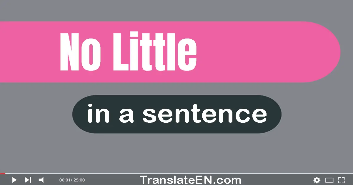 No Little in a sentence