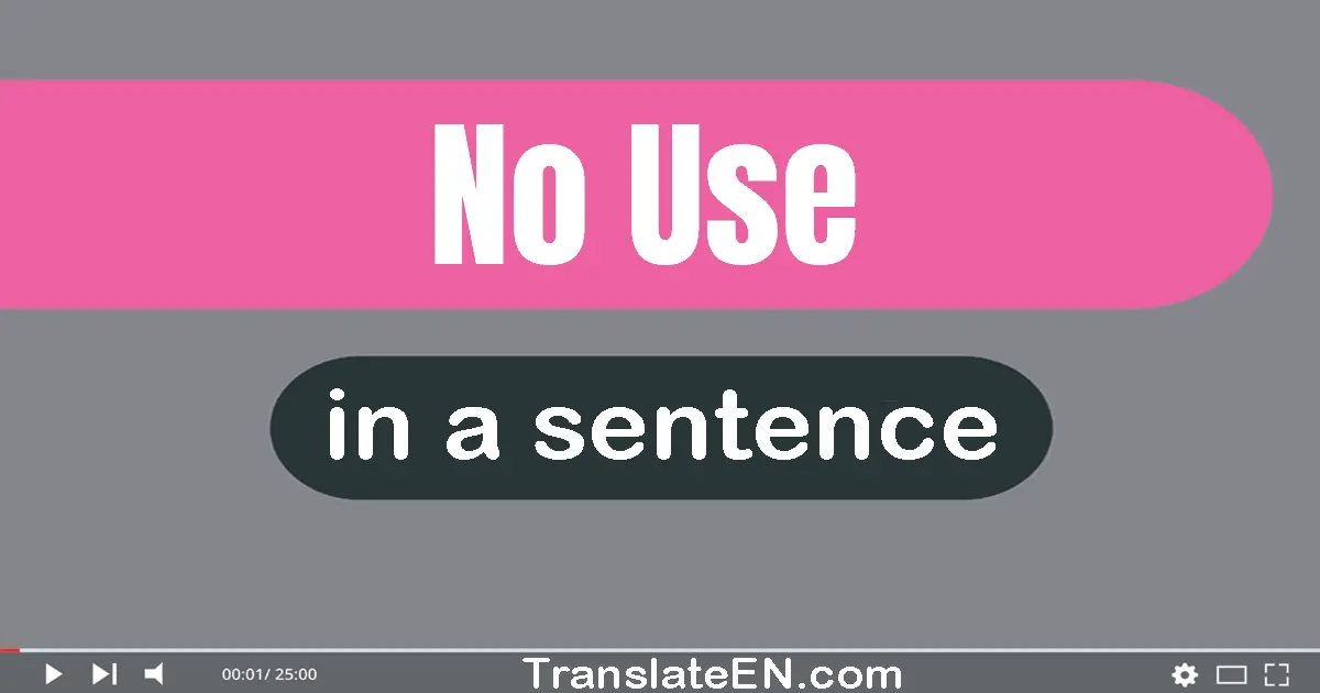 No Use in a sentence