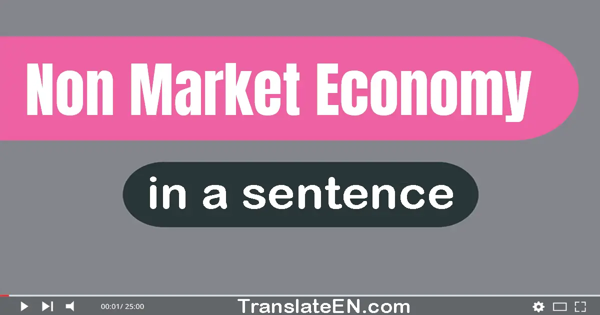 Use "non-market economy" in a sentence | "non-market economy" sentence examples