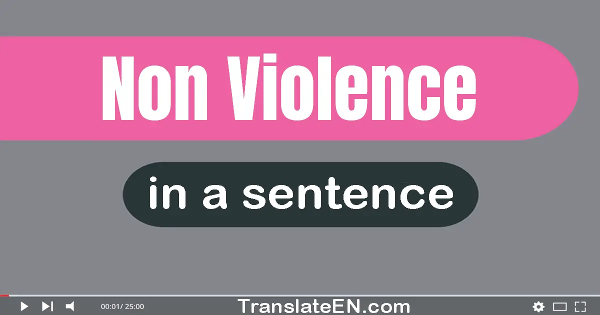 Use "non-violence" in a sentence | "non-violence" sentence examples