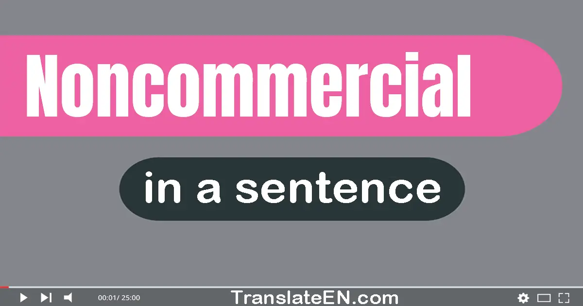 Noncommercial in a sentence