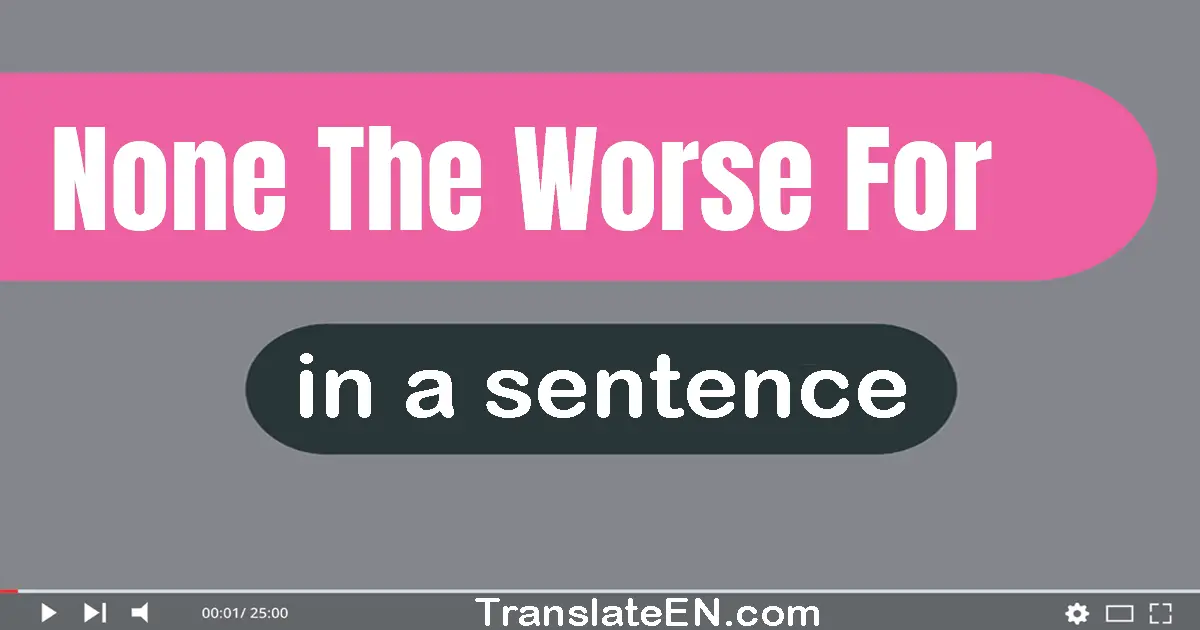 Use "none the worse for" in a sentence | "none the worse for" sentence examples