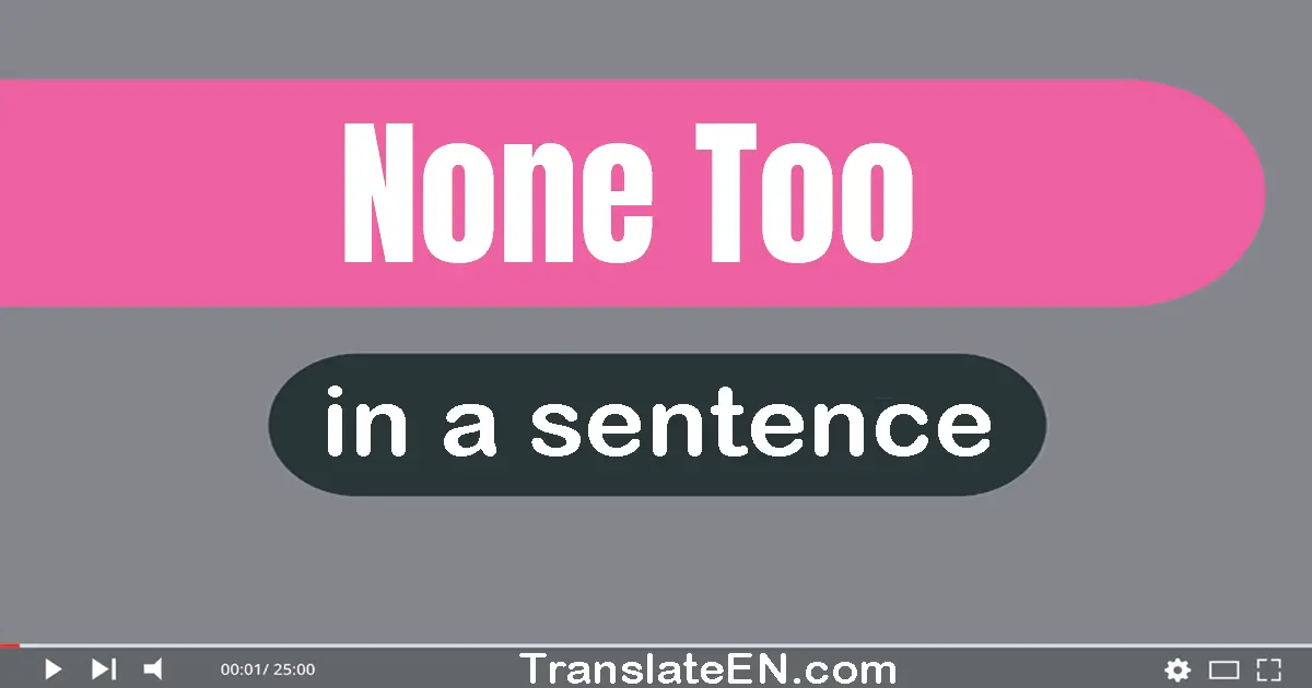 Use "none too" in a sentence | "none too" sentence examples