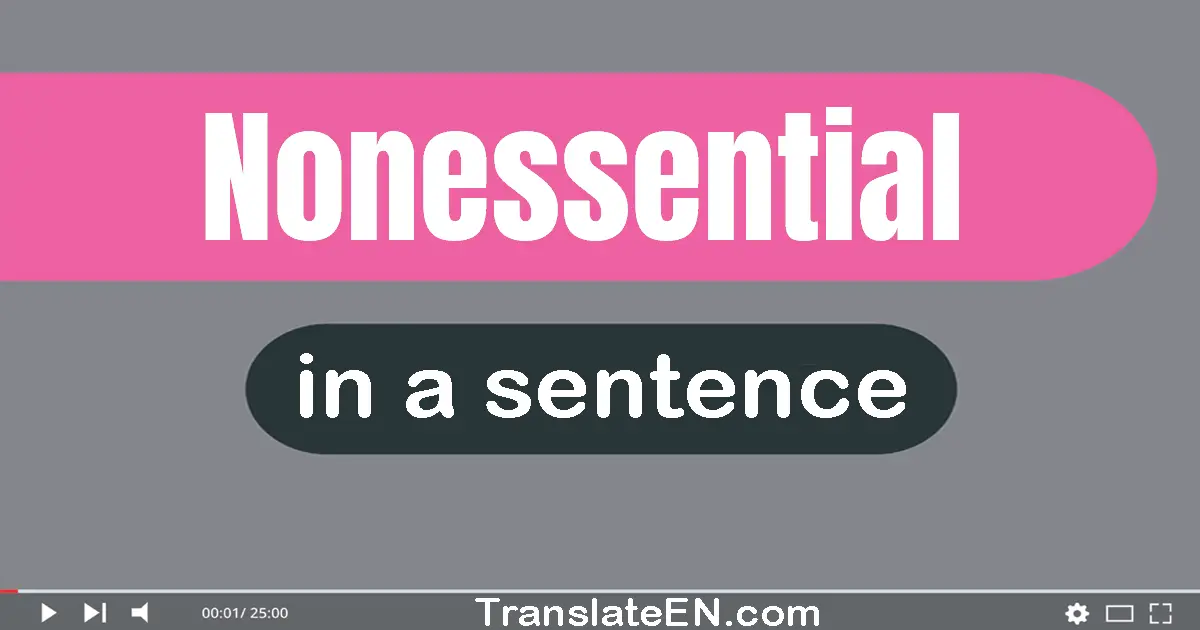 Nonessential in a sentence