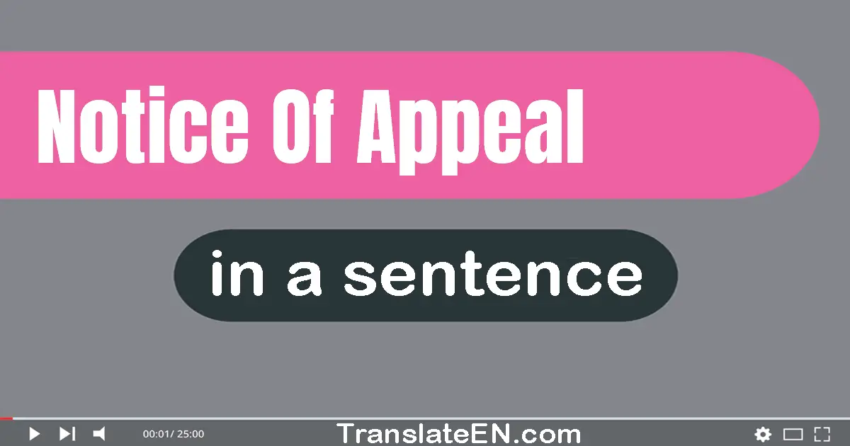 Notice Of Appeal in a sentence