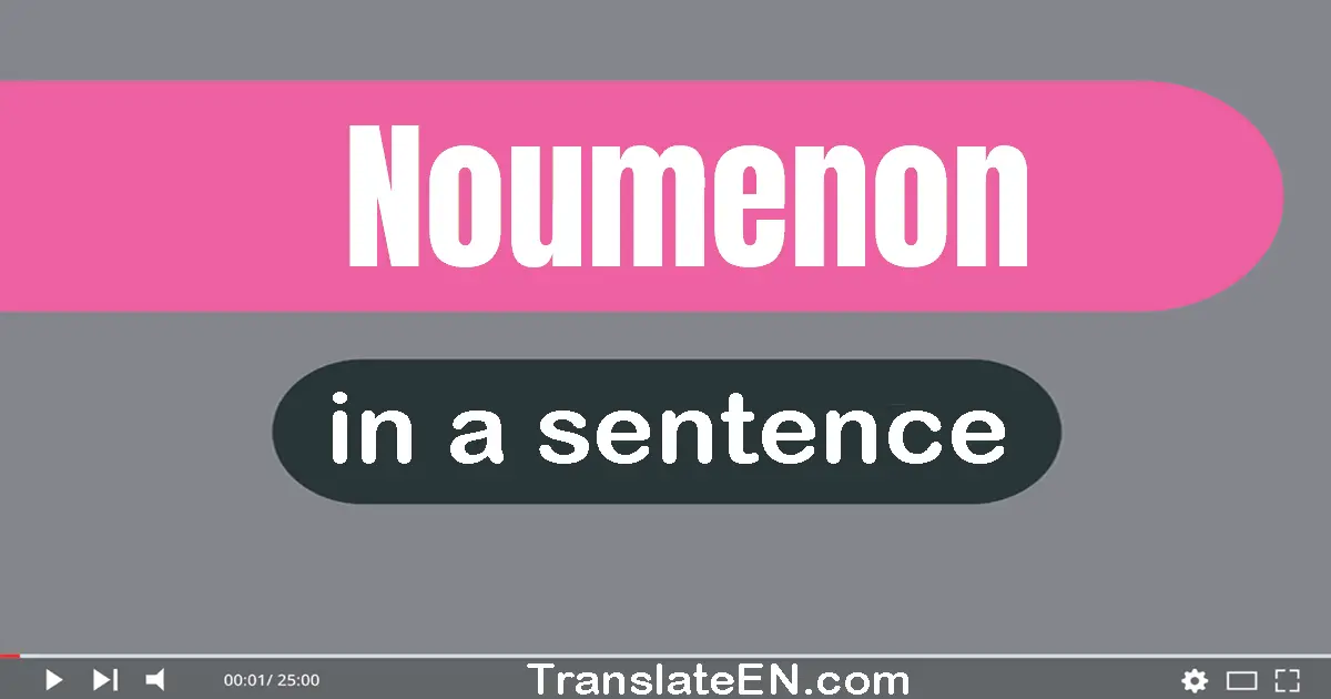 Noumenon in a sentence