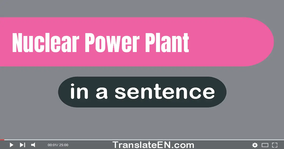 Nuclear Power Plant in a sentence