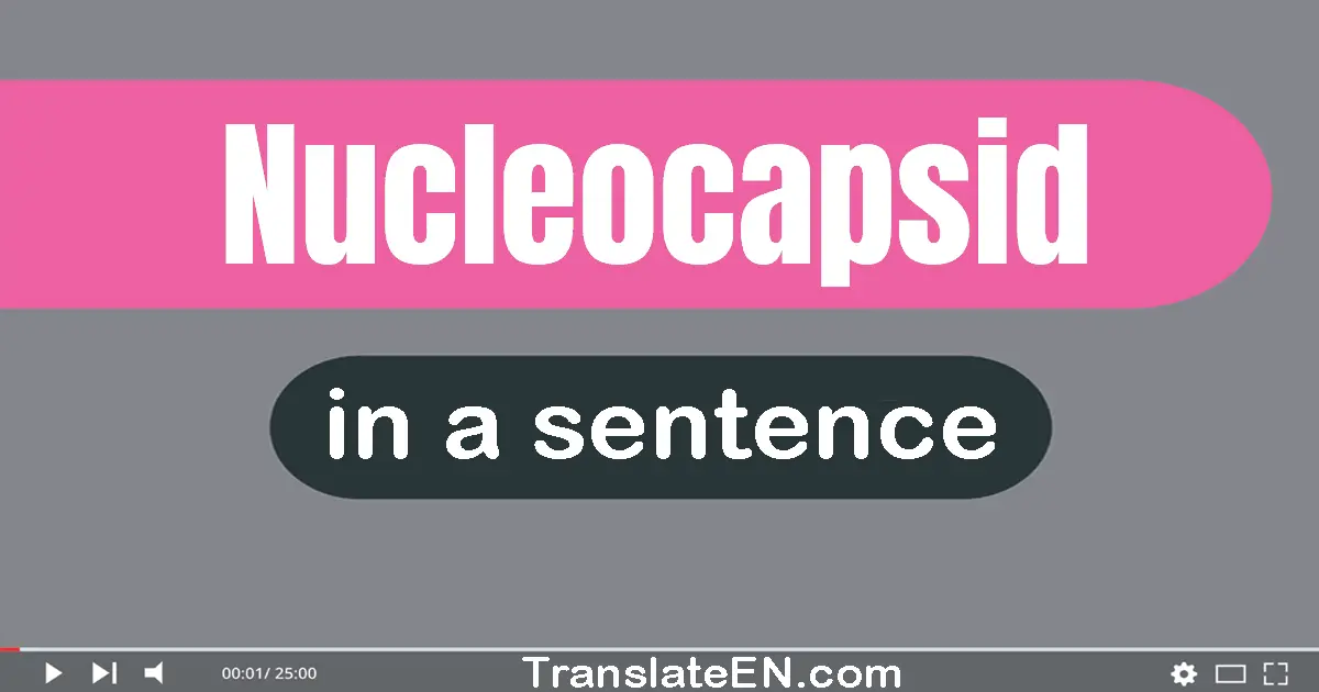 Nucleocapsid in a sentence