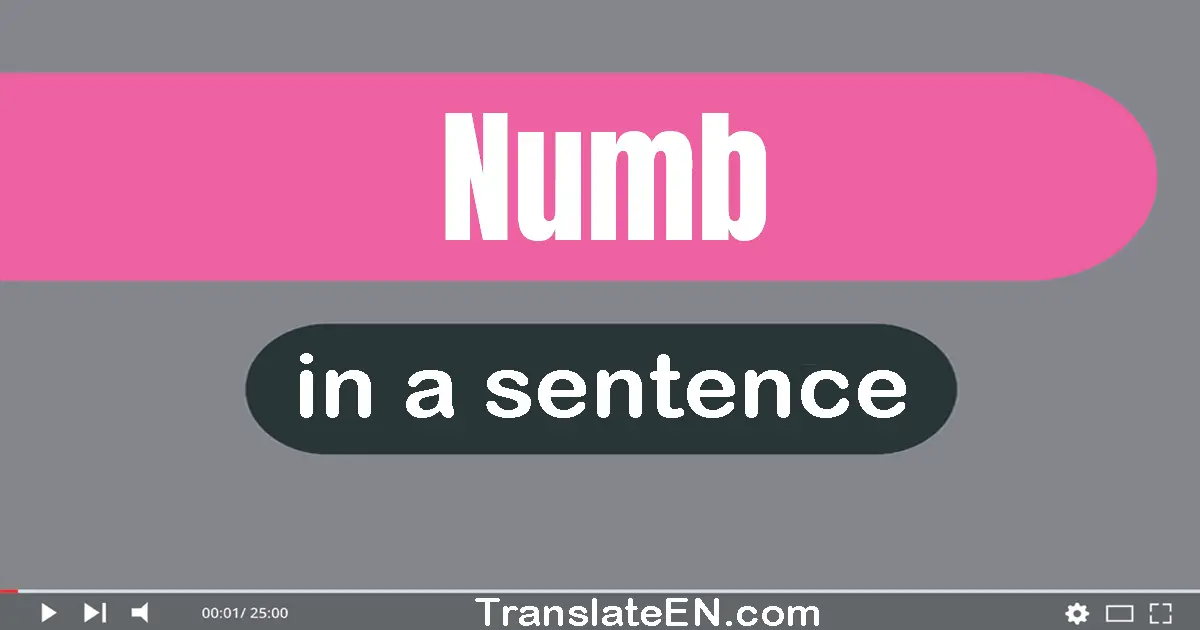 Numb in a sentence