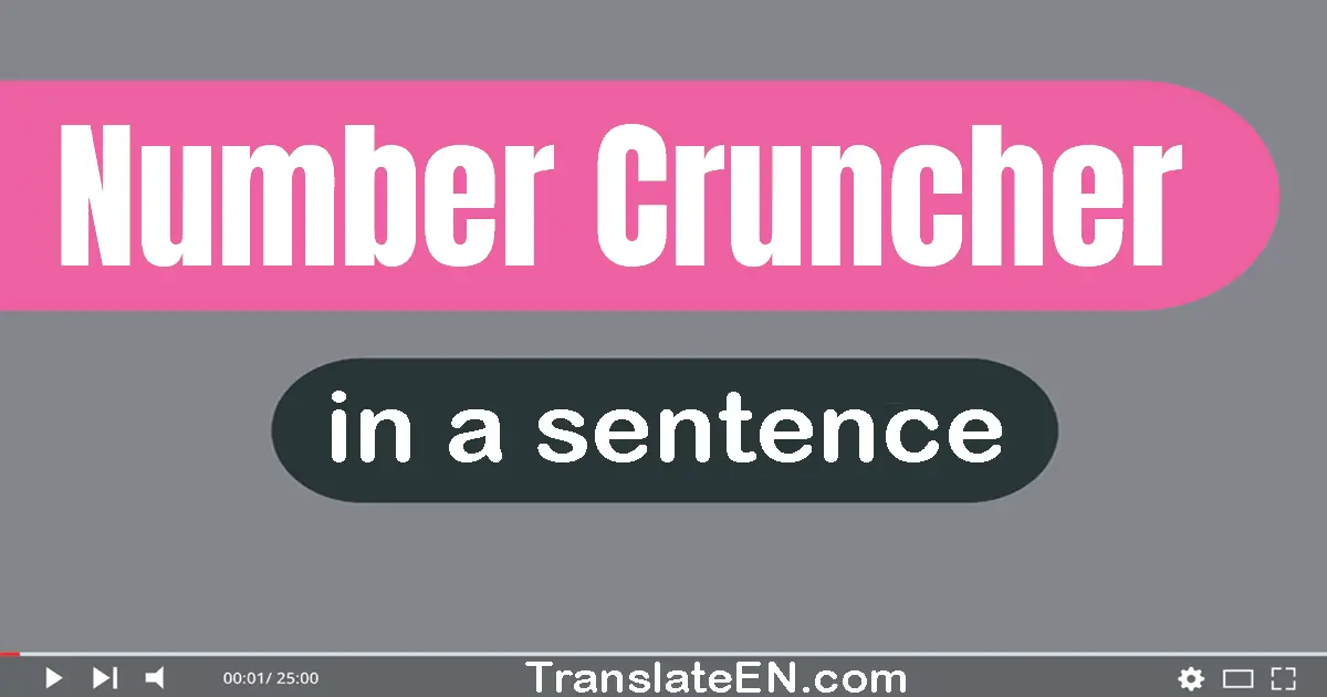 Number Cruncher in a sentence