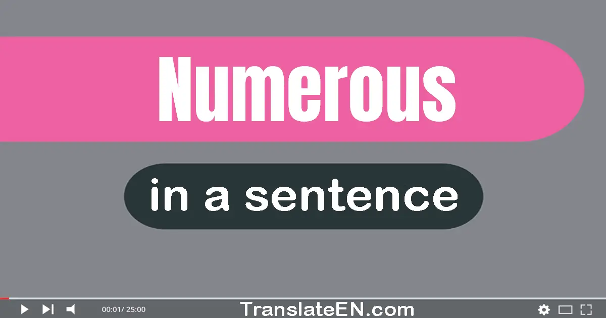 Use "numerous" in a sentence | "numerous" sentence examples