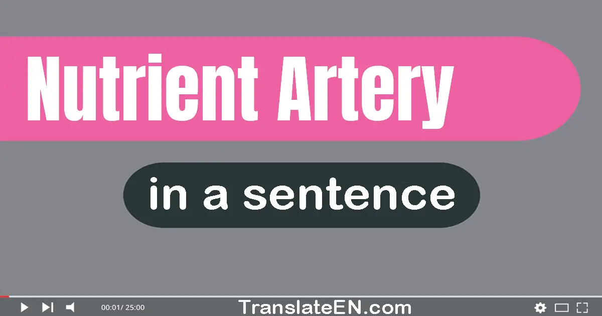 Nutrient Artery in a sentence