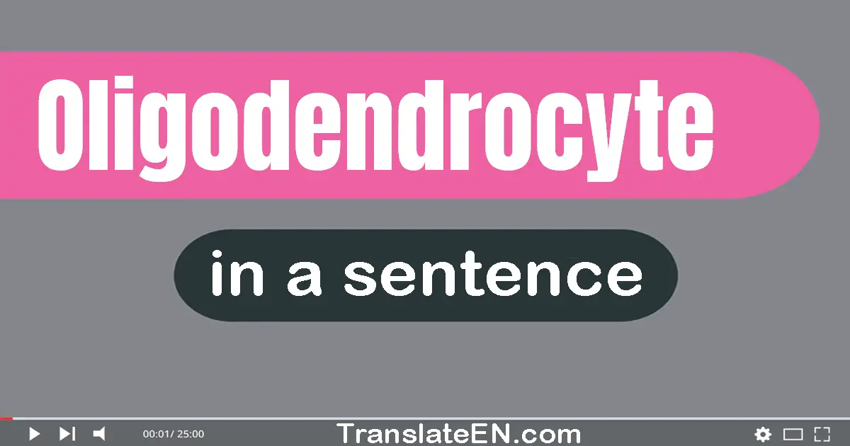 Oligodendrocyte in a sentence