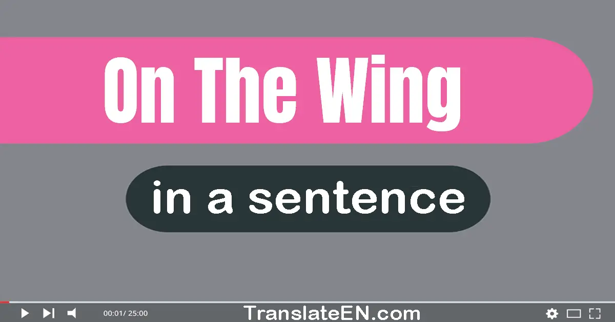 On The Wing in a sentence