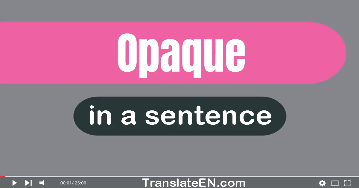 Use "opaque" in a sentence | "opaque" sentence examples