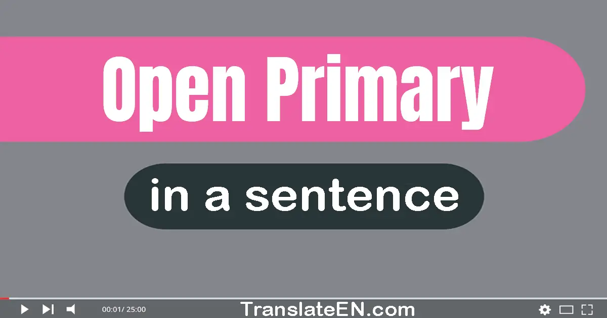 Open Primary in a sentence