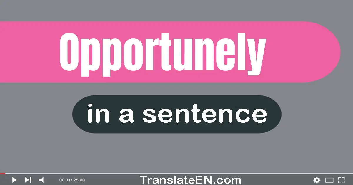 Use "opportunely" in a sentence | "opportunely" sentence examples