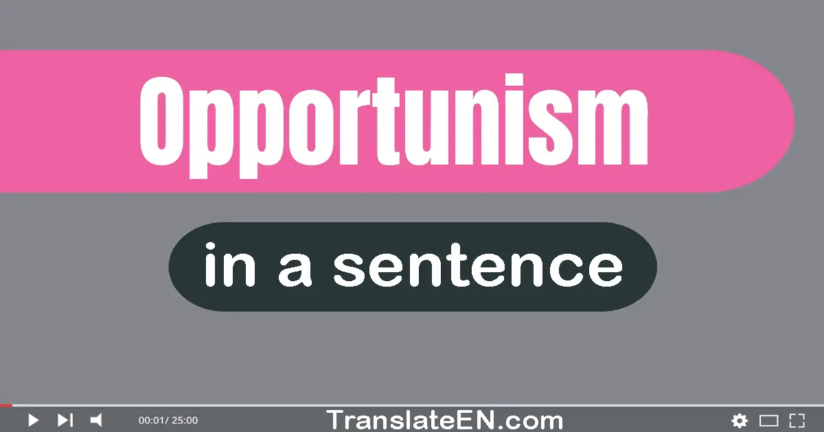 Use "opportunism" in a sentence | "opportunism" sentence examples